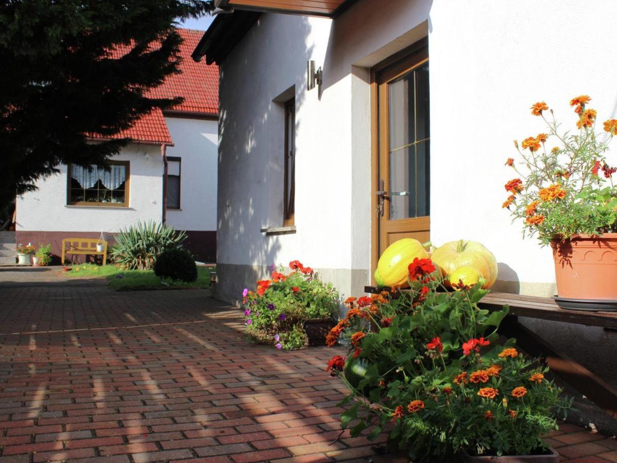 Ferienhaus Christine Schenkendobern Exteriör bild