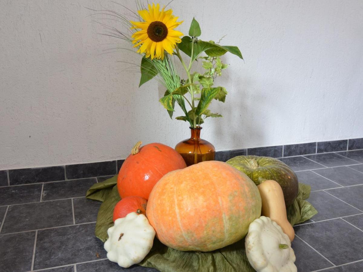 Ferienhaus Christine Schenkendobern Exteriör bild