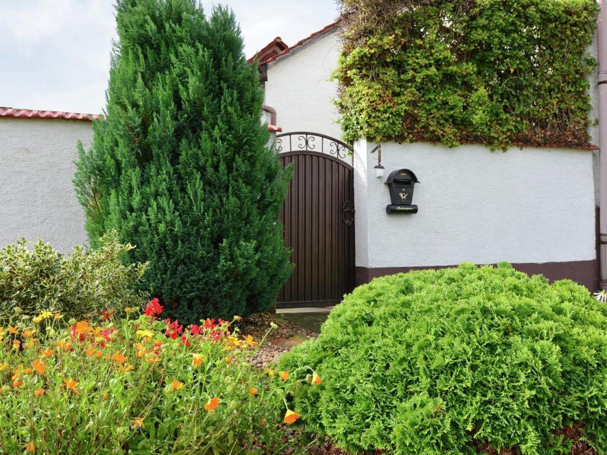 Ferienhaus Christine Schenkendobern Exteriör bild