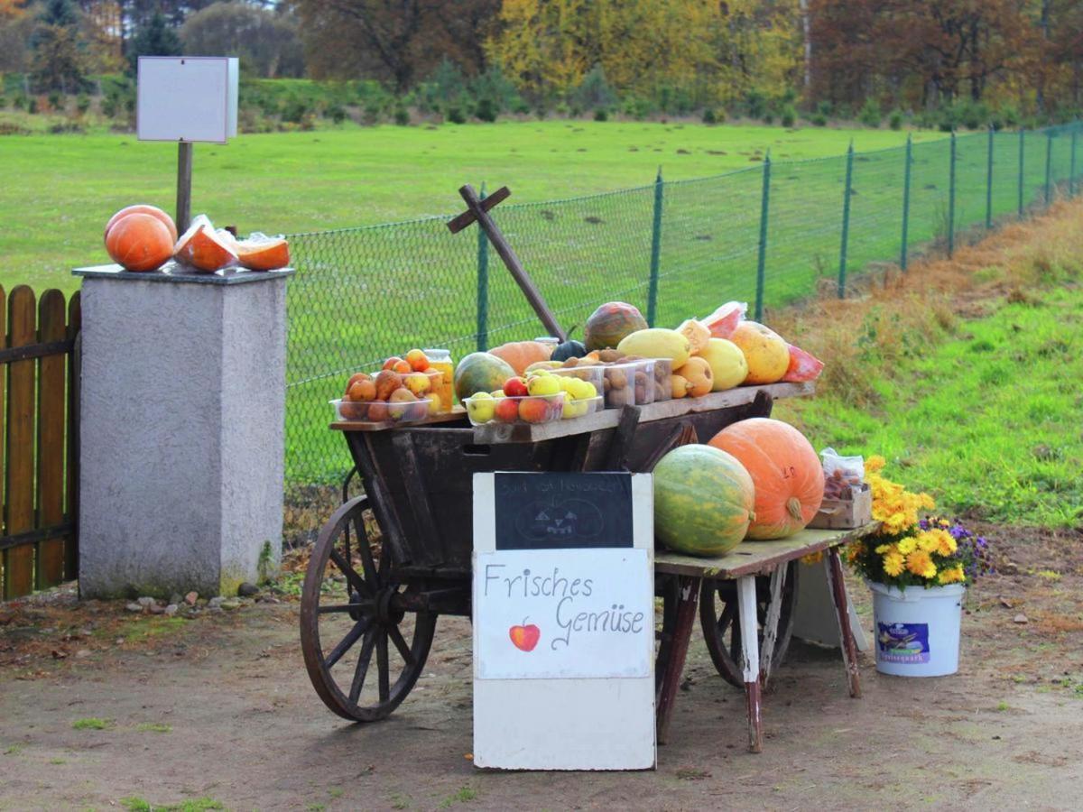 Ferienhaus Christine Schenkendobern Exteriör bild